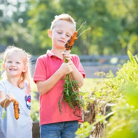 Baby- Und Kinderbauernhof Riegler 3*