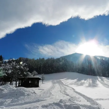 招待所 欣德保尔霍夫里格尔农场假期酒店 3*