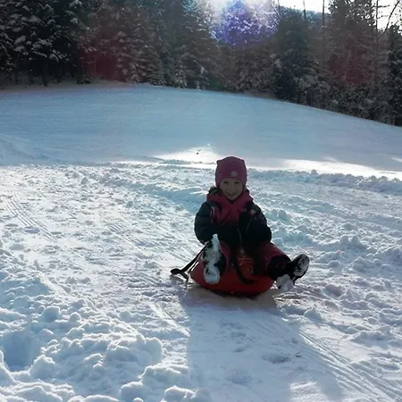 Baby- Und Kinderbauernhof Riegler 3*