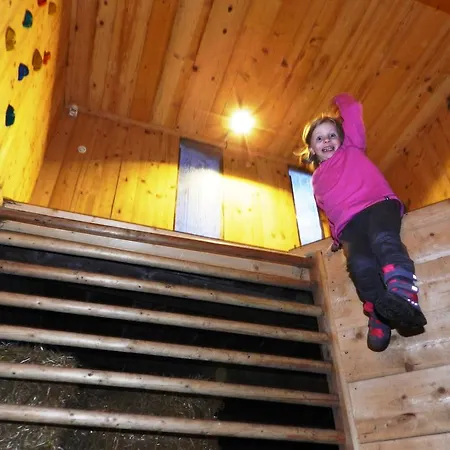 欣德保尔霍夫里格尔农场假期酒店 3* Rossleithen