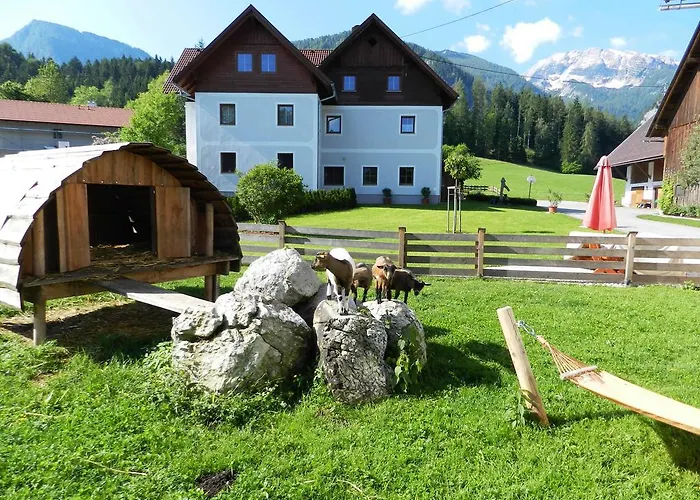 Baby- Und Kinderbauernhof Riegler Konukevi Rossleithen