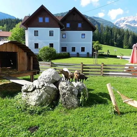 Baby- Und Kinderbauernhof Riegler Guest house Rossleithen