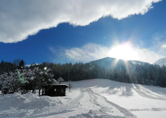 Gæstehus Baby- Und Kinderbauernhof Riegler 3*